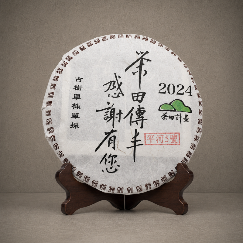2024年 單株古樹青餅(平河古樹-編號5)